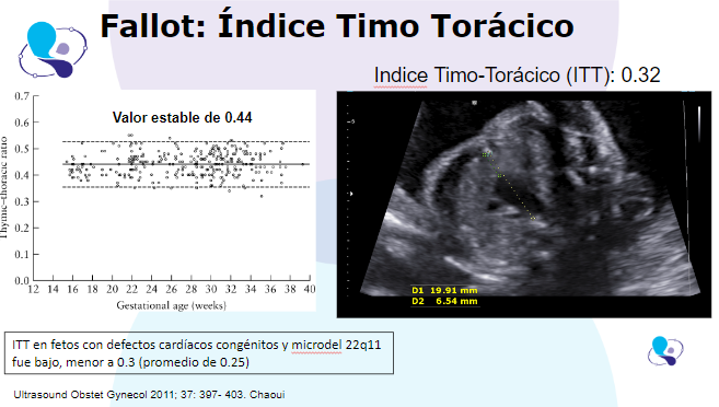 caso clinico medicina materno fetal 1.7