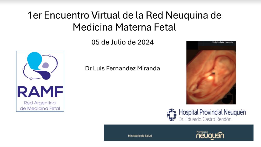 primer encuentro virtual red neuquina de medicina materno fetal 1